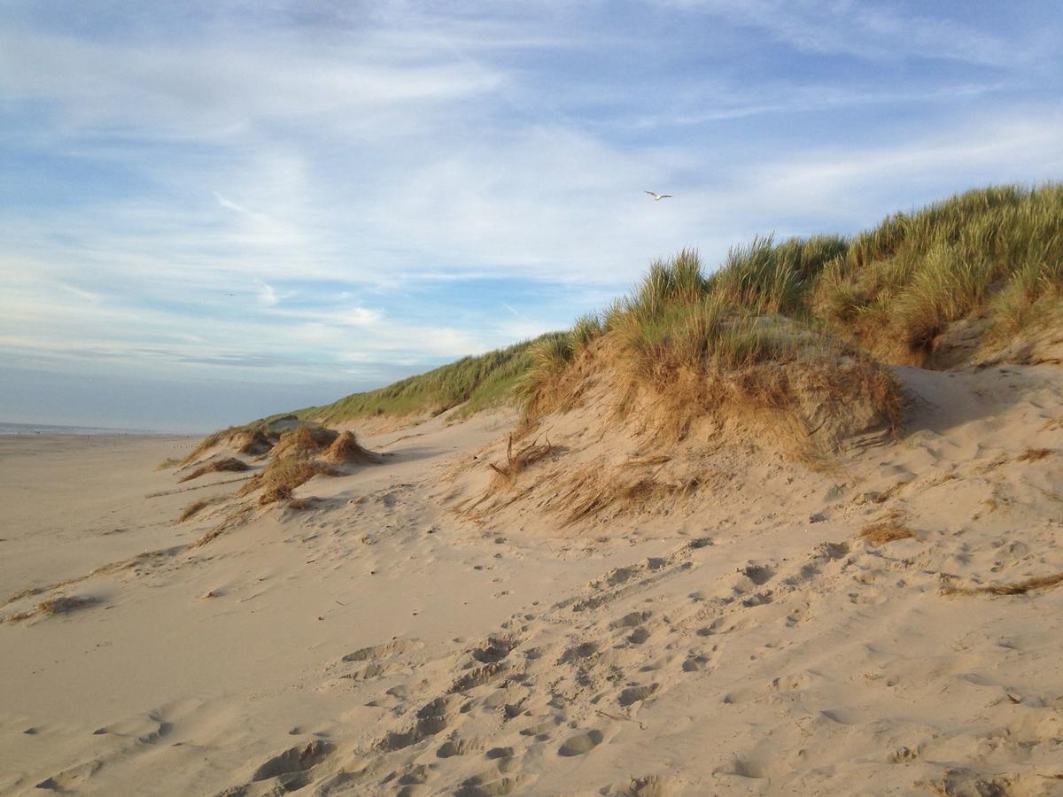 Beachhouses Texel De Koog  Exterior photo